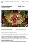 Sinnenas idéhistoria eng. History of the Senses