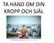 TA HAND OM DIN KROPP OCH SJÄL. Mindfullness Meditation city - Credit to   homethods is licensed under CC BY 2.