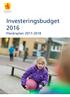 Investeringsbudget 2016 Flerårsplan