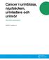 Cancer i urinblåsa, njurbäcken, urinledare och urinrör