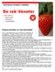 En rak Vänster. Kongresskrönika av Tony Rosendahl. Vänsterpartiet Sörmlands webbtidning 16:2. I detta nummer: