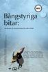 Bångstyriga bitar: INLÄRNING AV MULTILITTERACITET MED GLÄDJE