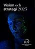 Vision och strategi 2025